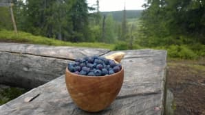 kesäkuvakisa