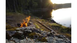 Kesäkuvakisa