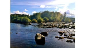aurinkoinen koski