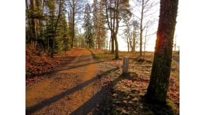 Iltapäiväaurinko Hietalahdessa Vaasassa