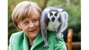 aksan liittokansleri Angela Merkel vierailee Marlowin lintutarhalla.