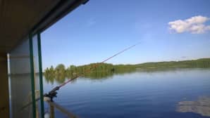 Kalastusvapa järvimaisemassa.