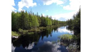 Kesäkuvakisa 2015
