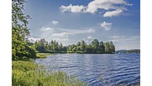 Kesäaamu Kuhnamonjärven rannalla.