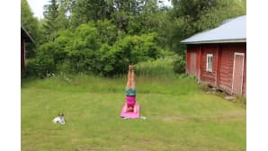Kesäkuvakisa 2015