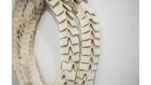 Koru.