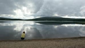 Kesäkuvakisa
