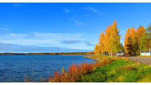 ruskan värjäämiä puita ja järvi.
