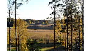 Syksyinen peltomaisema puinnin jälkeen.