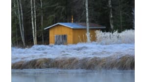 Syksyn kuuraamia heiniä järven rannassa.