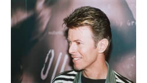 David Bowie 13. marraskuuta 1995.