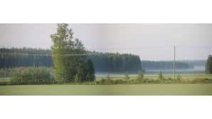 Kesäkuvakisa