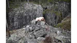 Kesäkuvakisa
