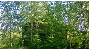 kesäkuvakisa