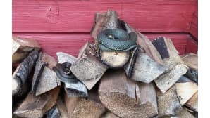 Kesäkuvakisa