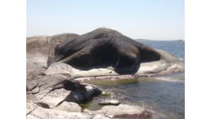 Kesäkuvakisa
