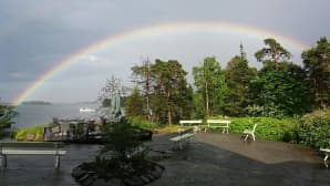 Kesäkuvakisa