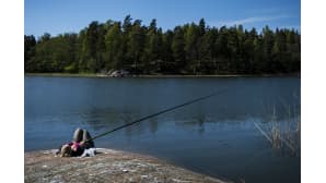 Kesäkuvakisa