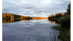 Kesäkuvakisa