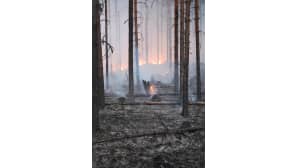 Saija Keränen Lapinlahti