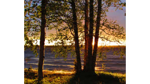Kesäkuvakisa 2016