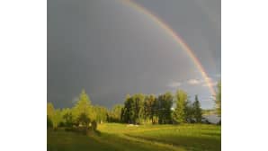 kesäkuvakisa