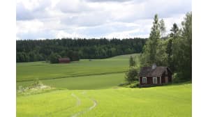 Kesäkuva 2016
