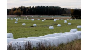 Kesäkuvakisa 2016