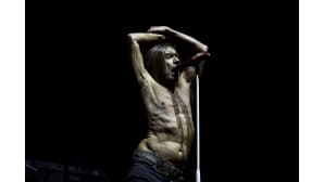 Iggy Pop lavalla.