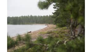 Ranta