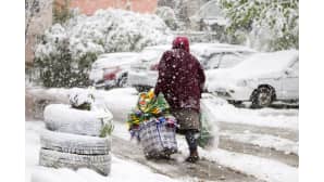 Nainen kuljetti tekokukkia lumipyryssä Chișinăussa, Moldovassa 20. huhtikuuta.