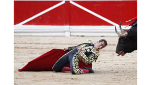 Härkätaistelija David Fandila San Ferminin härkäfestivaaleilla Espanjan Pamplonassa 10. heinäkuuta.
