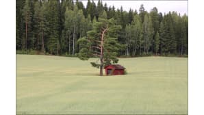 Kesäkuvakisa 2017.