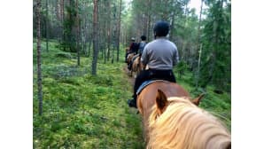 Kesäkuvakisa 2017.
