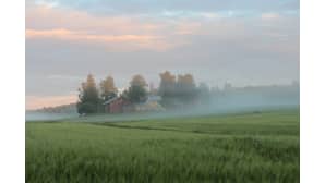 Kesäkuvakisa 2017.