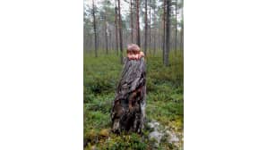 Kesäkuvakisa