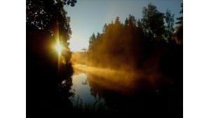 Kesäkuvakisa