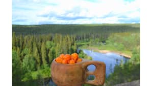 Kuksa on täytetty hillalla.