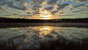 Kesäkuvakisa