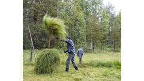 Kesäkuvakisa 2017.