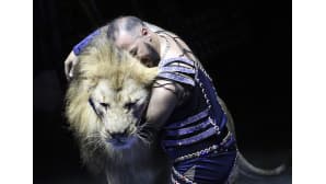 Mies esiintyi leijonan kanssa Minskin kansainvälisillä sirkusfestivaaleilla Valko-Venäjällä 21. syyskuuta.