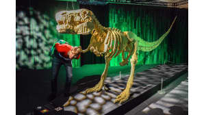 Nathan Sawaya, Art of the Brick, lego, Tyrannosaurus rex