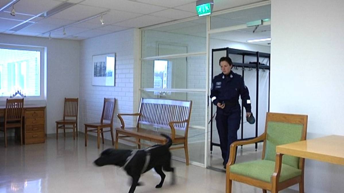Käteinen raha hierontahuone huumeita Käteinen raha hierontahuone huumeita