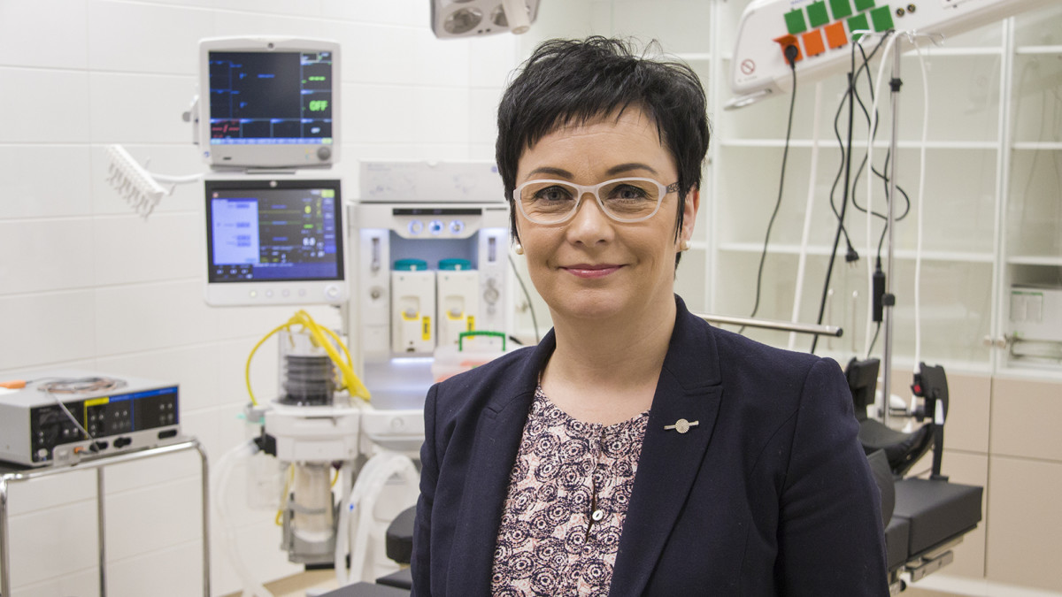 Riikka Moilanen myöntää että hänen aasinsiltansa oli tosi huono.