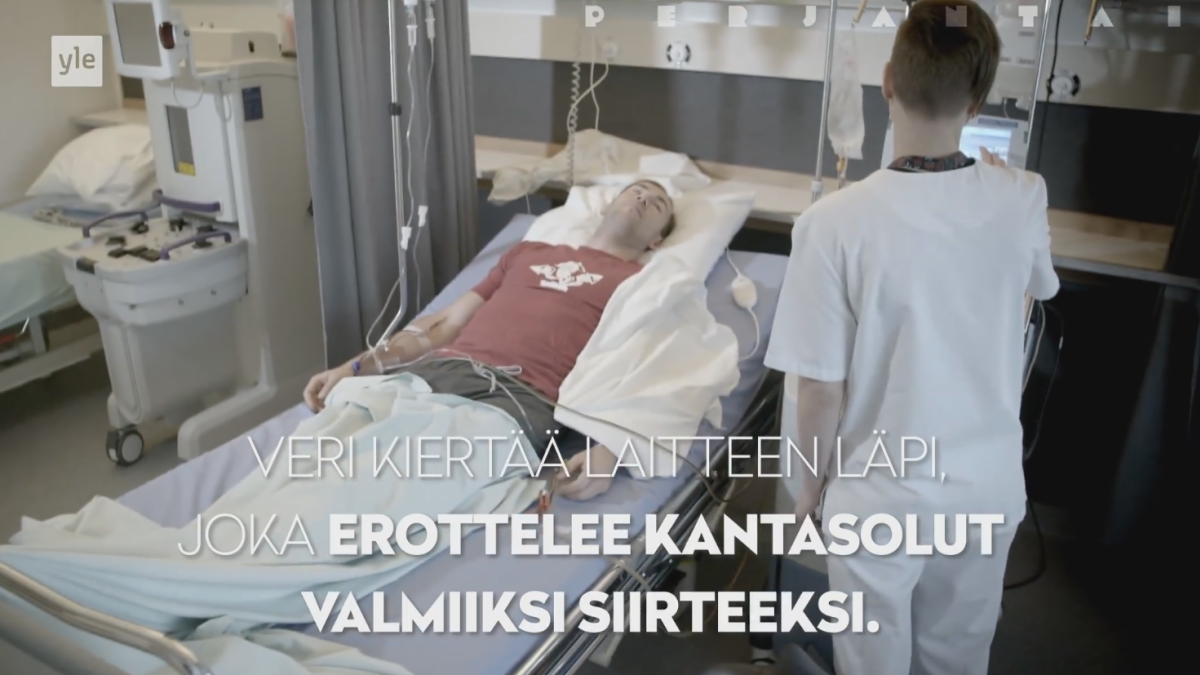 kantasolusiirto