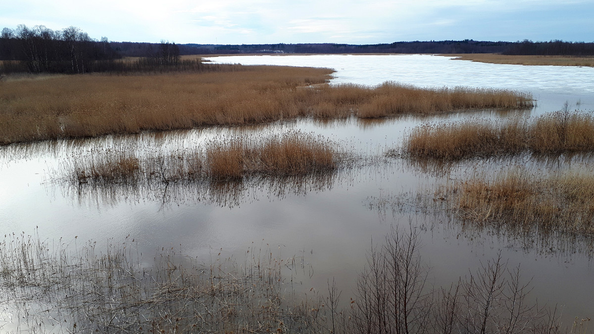 Siikalahti Parikkalassa