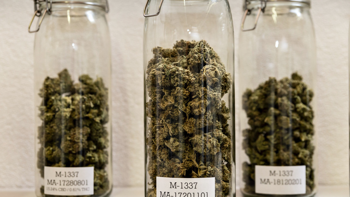 Kannabista lasipurkeissa.