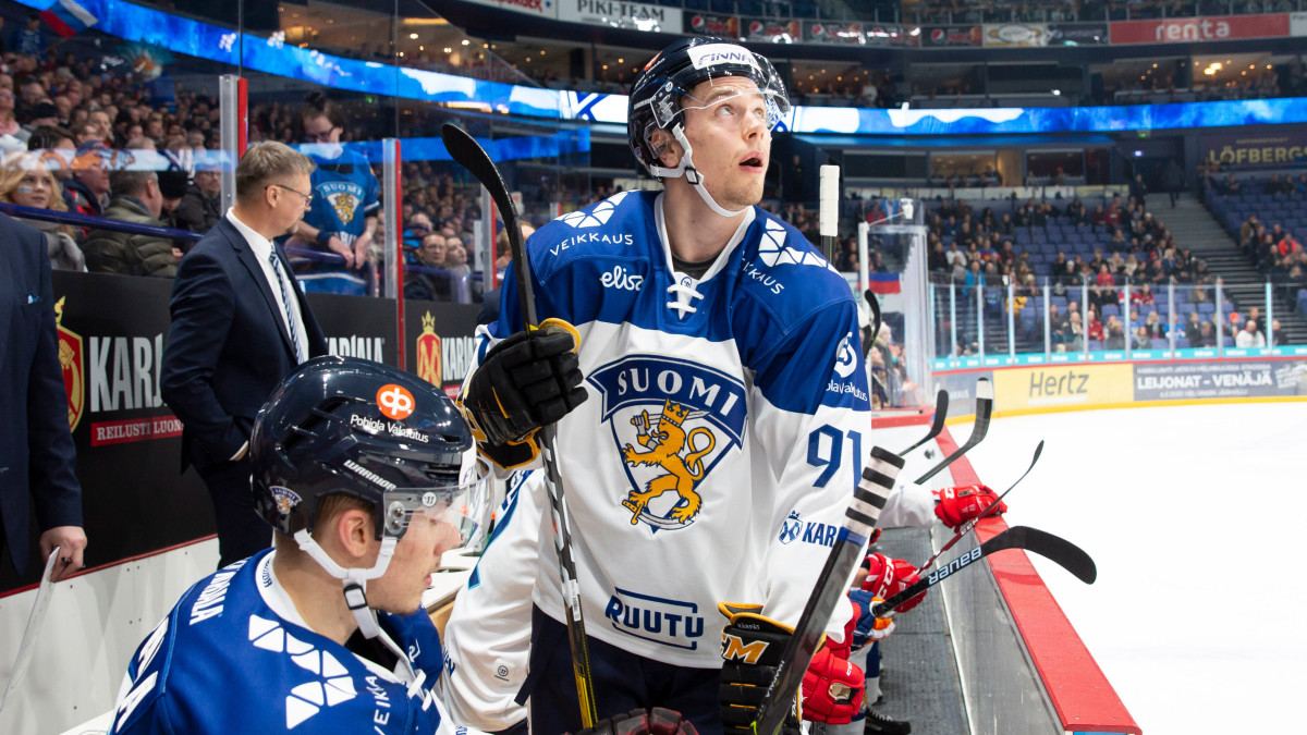 Lammikko