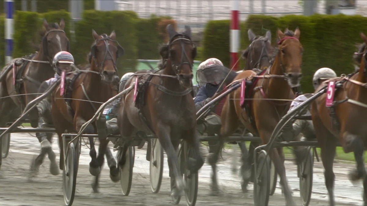 Ravit Elitloppet