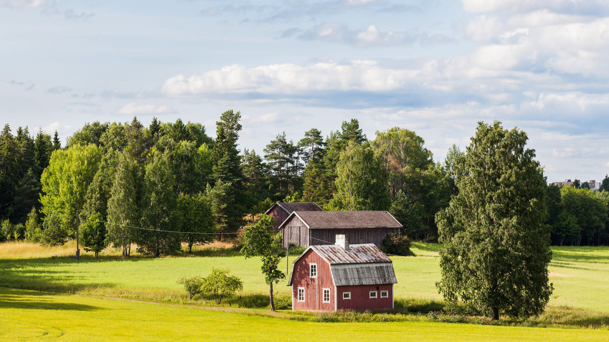 maalaismaisema